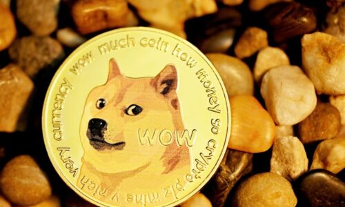 Dogecoin Rallies 50% To Beat Out Avalanche, BONK Overtakes PEPE