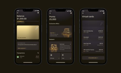 Robinhood’s new Gold Card, BaaS challenges and the tiny startup that caught Stripe’s eye