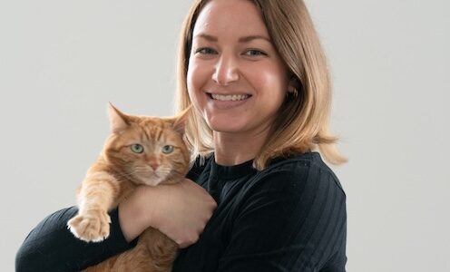 Cat-sitting startup Meowtel clawed its way to profitability despite trouble raising from dog-focused VCs | TechCrunch